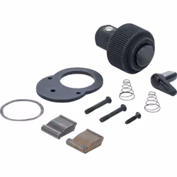 Toutes les pièces d'usure pour la tête de cliquet dans un kit Comprenant : roue à cliquet, levier inverseur, vis, pièce de ve ...