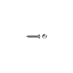 Sac 10 Vis 4.020 514973 Fischer