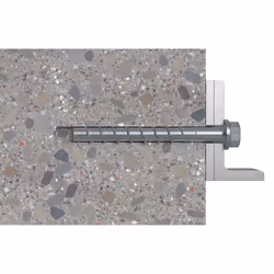 Fischer 536855 vis et boulon 100 mm 50 pièce(s)