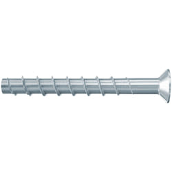 Fischer 536887 vis et boulon 100 mm 50 pièce(s)