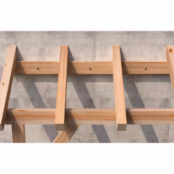 Fischer 544547 ancrage à vis et cheville murale 4 pièce(s)