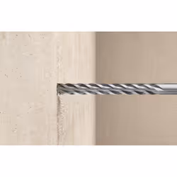 Fischer 545049 foret