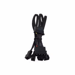 Phobya 4Pin Molex auf 4x 3Pin (12V) 30cm, 0,3 m, Molex (4-pin), Molex (3-pin), Mâle, Femelle, 90°
