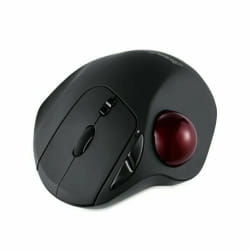 Perixx 11568 souris Droitier RF Wireless + USB Type-A Laser 1000 DPI