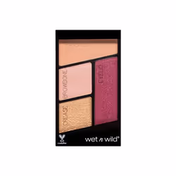 Wet N Wild - Ombre à Paupières Quad Color Icon - Flock Party