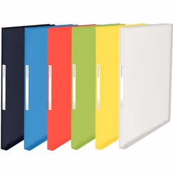 Esselte Vivida Porte vues 100 compartiments 200 vues A4 disponible dans différentes couleurs