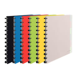 Esselte 624014 classeur à anneaux A4 Couleurs assorties