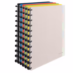 Esselte 624014 classeur à anneaux A4 Couleurs assorties