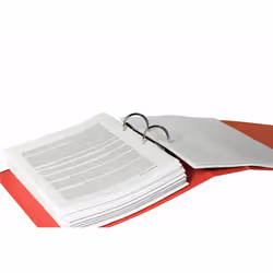 Esselte 624068 classeur à anneaux A4 Rouge