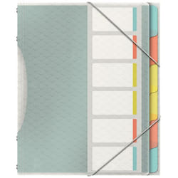 Esselte 626255 intercalaire de classement Onglet avec index vierge Polypropylène (PP) Multicolore