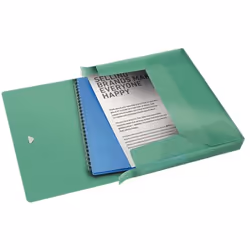 Esselte 626260 boîte à archive 200 feuilles Vert Polypropylène (PP)