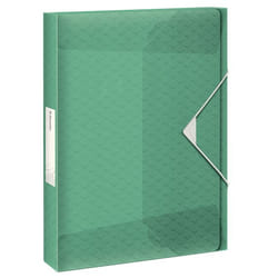 Esselte Boîte Class Col Ice 40mm Vert