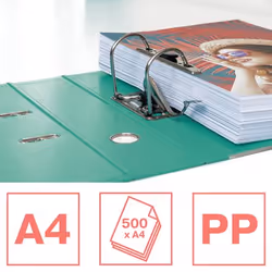 Esselte 626505 classeur à anneaux A4 Vert
