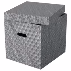 Esselte 628289 Boîte de rangement Rectangulaire Carton Gris