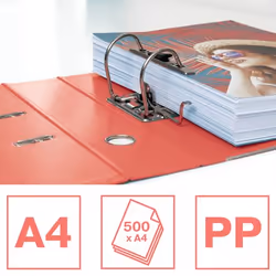 Esselte 628429 classeur à anneaux A4 Rouge