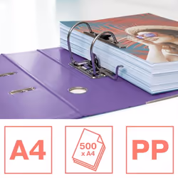 Esselte 628430 classeur à anneaux A4 Lavande