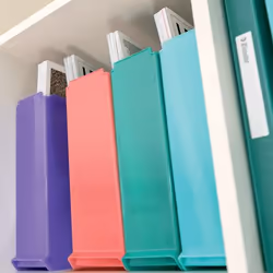 Esselte 628455 porte-magazines Polystyrène Corail