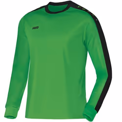Maillot enfant Jako Striker manches longues