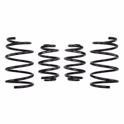 Ressorts EIBACH Pro Kit E2033-140