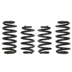 Ressorts EIBACH Pro Kit E10-15-008-01-22