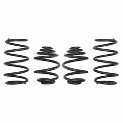 Ressorts EIBACH Pro Kit E10-65-002-01-22