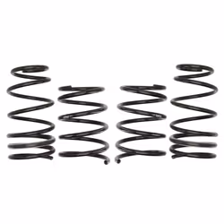 Ressorts EIBACH Pro Kit E10-77-002-06-22