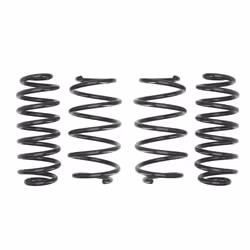 Ressorts EIBACH Pro Kit E10-79-004-01-22