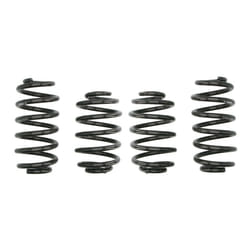 Ressort de suspension EIBACH Pro-Kit E10-85-002-09-22
