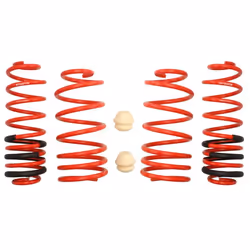 Kit de suspension, ressorts EIBACH E20-15-004-02-22