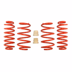 Kit de suspension, ressorts EIBACH E20-15-007-01-22