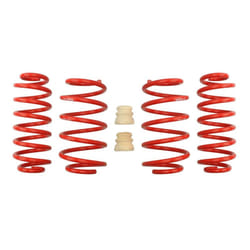 Kit de suspension, ressorts EIBACH E20-15-007-01-22