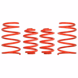 Kit de suspension, ressorts EIBACH E20-20-004-04-22
