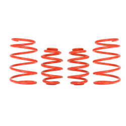 Kit de suspension, ressorts EIBACH E20-20-004-06-22