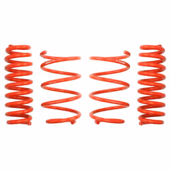 Kit de suspension, ressorts EIBACH E20-20-014-01-22