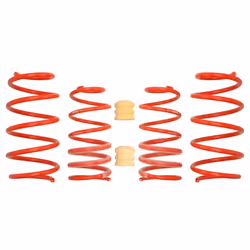 Kit de suspension, ressorts EIBACH E20-30-010-02-22
