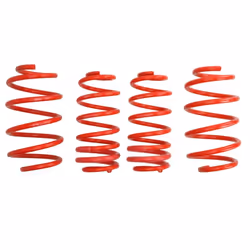Ressort de suspension EIBACH E20-30-012-02-22