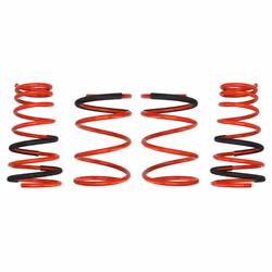 Kit de suspension, ressorts EIBACH E20-42-003-02-22