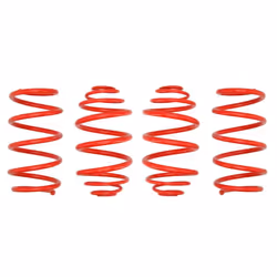 Ressort de suspension EIBACH E20-65-001-01-22