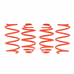 Kit de suspension, ressorts EIBACH E20-65-013-01-22