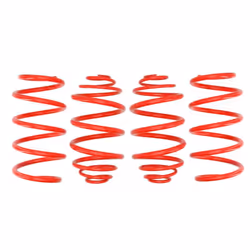 Kit de suspension, ressorts EIBACH E20-65-013-02-22