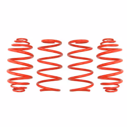 Kit de suspension, ressorts EIBACH E20-65-013-04-22