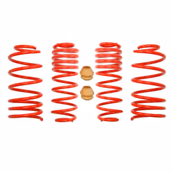 Ressort de suspension EIBACH E20-81-003-02-22
