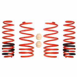Kit de suspension, ressorts EIBACH E20-81-004-02-22