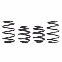 Ressorts EIBACH Pro Kit E6521-140