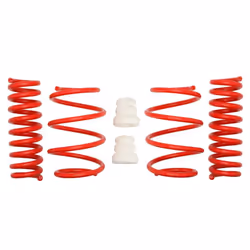 Kit de suspension, ressorts EIBACH E20-20-031-01-22