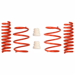 Kit de suspension, ressorts EIBACH E20-20-031-02-22