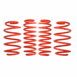 Kit de suspension, ressorts EIBACH E20-85-021-01-22