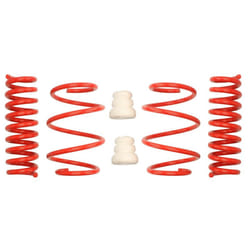 Kit de suspension, ressorts EIBACH E20-20-030-01-22