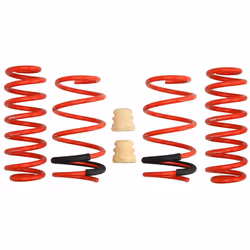 Kit de suspension, ressorts EIBACH E20-15-021-01-22