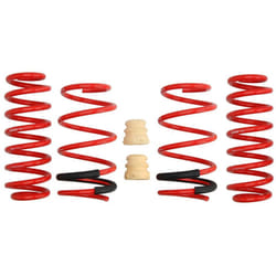 Kit de suspension, ressorts EIBACH E20-15-021-01-22